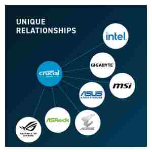 crucial-gallery-image-3-relationships_10