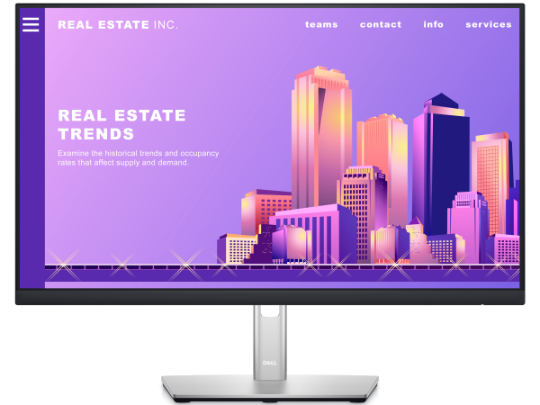 Monitor, 61 cm (24''), DELL Professional P2422H... ugodna cena / kvaliteta A- - slika 2