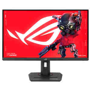 Asus 68,6 cm (27,0") XG27UCG 3840x2160