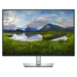 Dell 61 cm (24,0") P2425 1920x1200