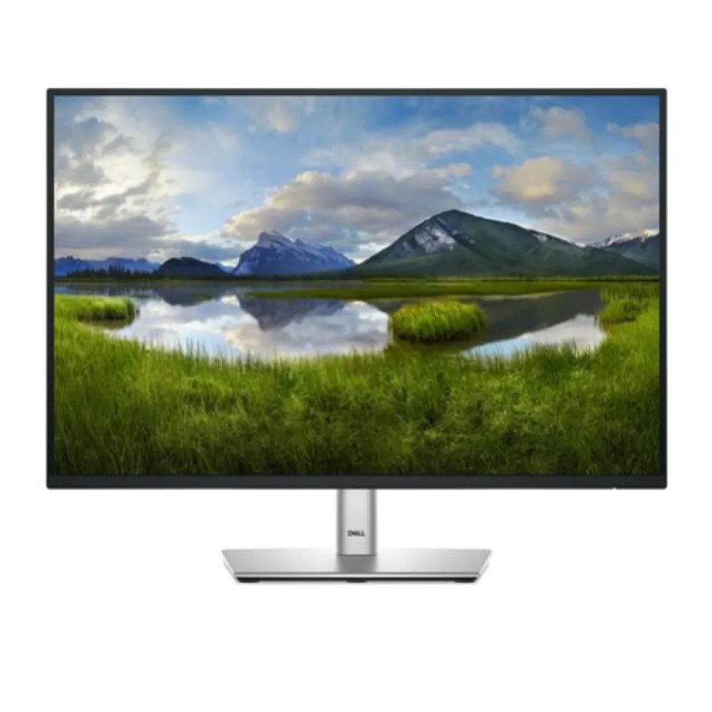 Dell 61 cm (24,0") P2425 1920x1200