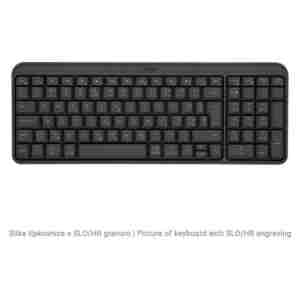 Tipkovnica brezžična Logitech K250 US international | SLO gravura grafitna (920-013451)