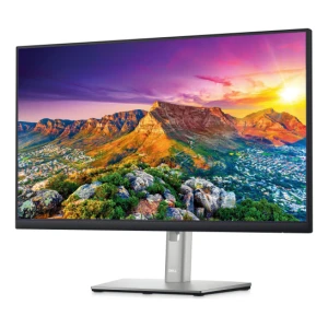 61 cm (24''), DELL Professional P2422H