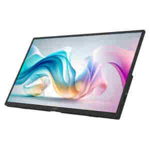 Prenosni monitor MSI 39,6 cm (15,6") PRO MP165