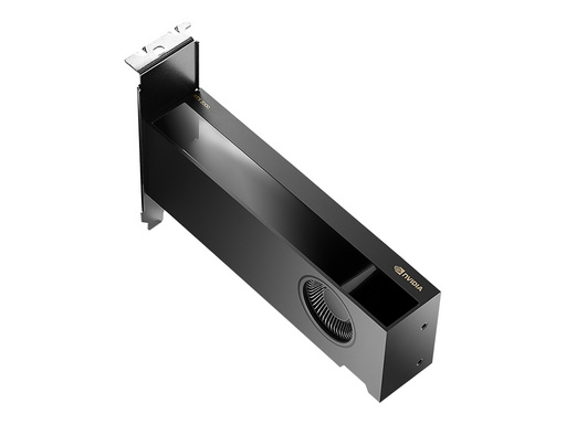 Grafična kartica NVIDIA RTX 2000 Ada Generation, 16GB GDDR6 ECC, PCIe 4.0 x8, 4x mDP 1.4a, mDP-DP, LowProfile, PNY - slika 4